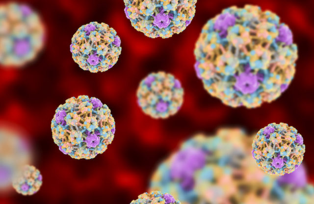 HPV (Human Papillomavirus): What You Need to Know