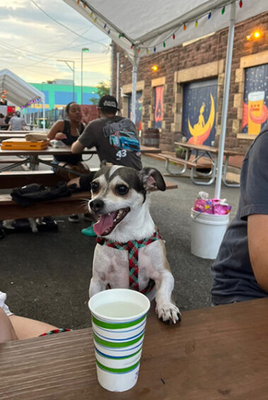 Madison Gabrielli, NP